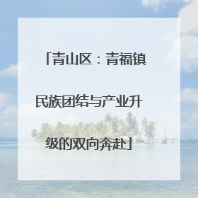 青山区：青福镇民族团结与产业升级的双向奔赴