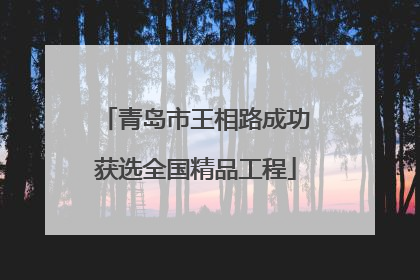 青岛市王相路成功获选全国精品工程