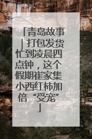 青岛故事｜打包发货忙到凌晨四点钟，这个假期崔家集小西红柿加倍“受宠”