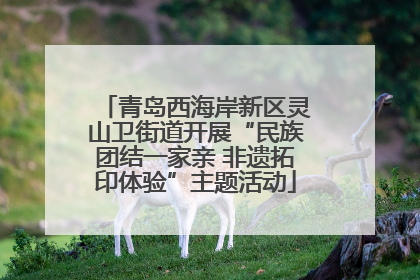 青岛西海岸新区灵山卫街道开展“民族团结一家亲 非遗拓印体验”主题活动