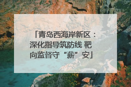 青岛西海岸新区：深化指导筑防线 靶向监督守“薪”安