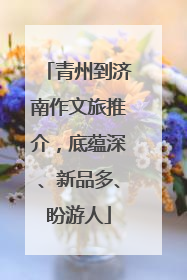 青州到济南作文旅推介，底蕴深、新品多、盼游人