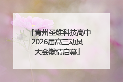 青州圣维科技高中2026届高三动员大会燃情启幕