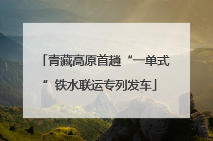 青藏高原首趟“一单式”铁水联运专列发车