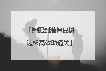 钾肥到港保夏耕 边检高效助通关