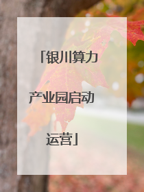 银川算力产业园启动运营