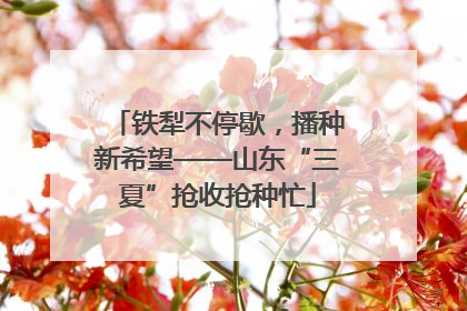 铁犁不停歇，播种新希望——山东“三夏”抢收抢种忙