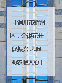 铜川市耀州区：金银花开促振兴 志愿助农暖人心