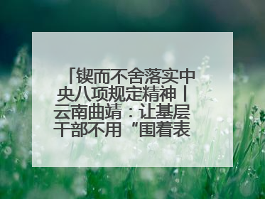 锲而不舍落实中央八项规定精神丨云南曲靖：让基层干部不用“围着表格转”