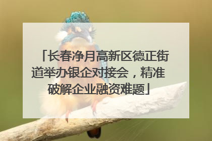 长春净月高新区德正街道举办银企对接会，精准破解企业融资难题