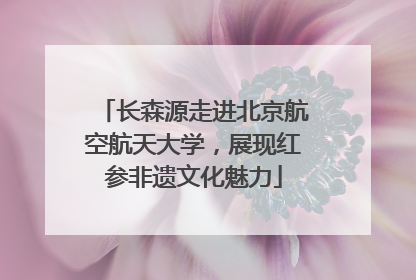 长森源走进北京航空航天大学，展现红参非遗文化魅力