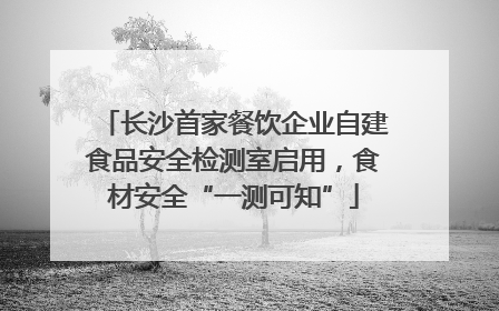长沙首家餐饮企业自建食品安全检测室启用，食材安全“一测可知”