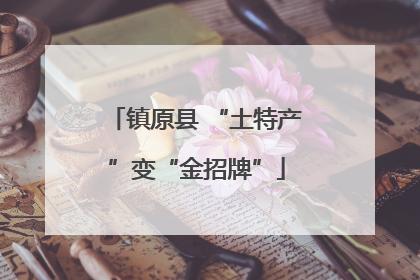 镇原县 “土特产”变“金招牌”