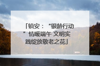 镇安：“银龄行动”情暖端午 文明实践绽放敬老之花