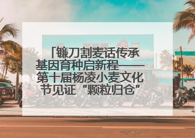 镰刀割麦话传承 基因育种启新程——第十届杨凌小麦文化节见证“颗粒归仓”时空跨越