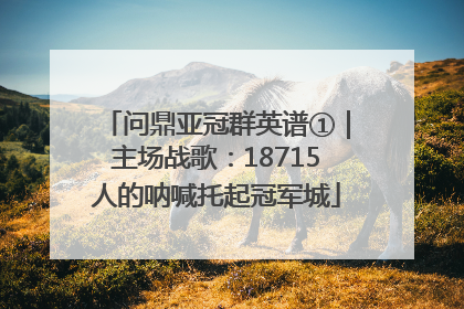 问鼎亚冠群英谱①｜主场战歌：18715人的呐喊托起冠军城