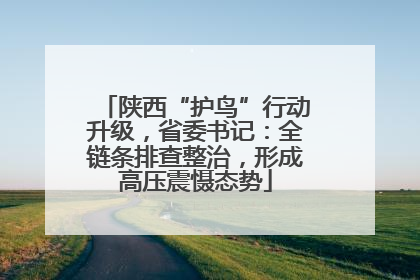 陕西“护鸟”行动升级，省委书记：全链条排查整治，形成高压震慑态势