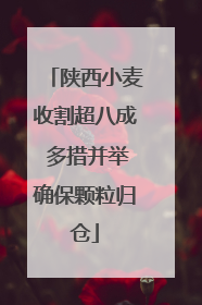 陕西小麦收割超八成 多措并举确保颗粒归仓
