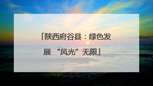陕西府谷县：绿色发展 “风光”无限