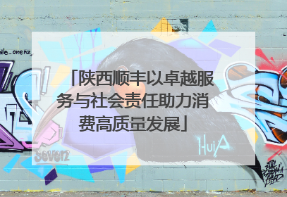 陕西顺丰以卓越服务与社会责任助力消费高质量发展