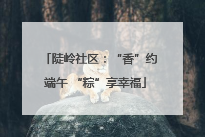 陡岭社区：“香”约端午 “粽”享幸福