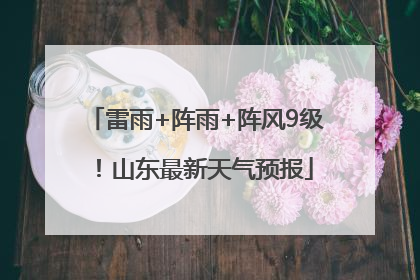 雷雨+阵雨+阵风9级！山东最新天气预报
