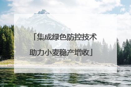 集成绿色防控技术助力小麦稳产增收