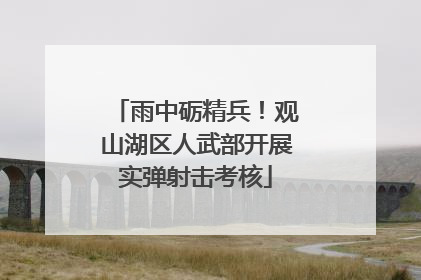 雨中砺精兵！观山湖区人武部开展实弹射击考核