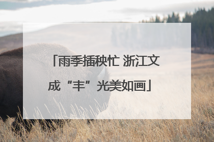 雨季插秧忙 浙江文成“丰”光美如画