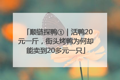 顺链探鸭①｜活鸭20元一斤，街头烤鸭为何却能卖到20多元一只