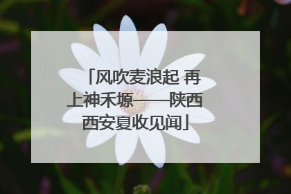 风吹麦浪起 再上神禾塬——陕西西安夏收见闻