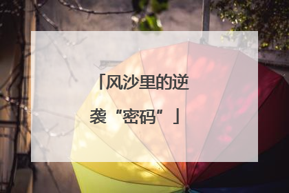 风沙里的逆袭“密码”