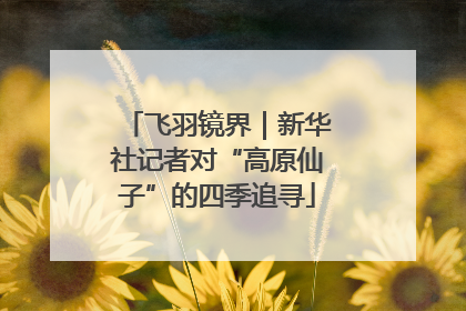 飞羽镜界｜新华社记者对“高原仙子”的四季追寻