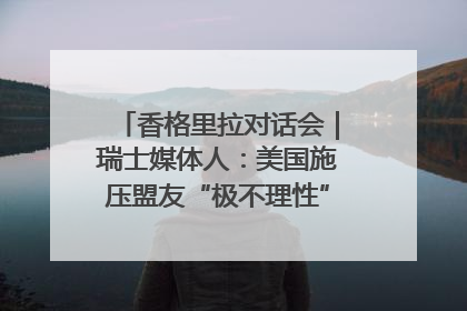 香格里拉对话会｜瑞士媒体人：美国施压盟友“极不理性” 欧洲国家无意与中国“脱钩断链”