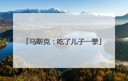马斯克：吃了儿子一拳