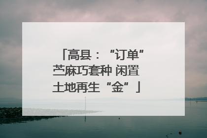 高县：“订单”苎麻巧套种 闲置土地再生“金”