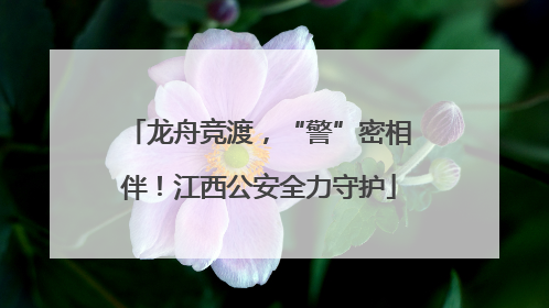 龙舟竞渡，“警”密相伴！江西公安全力守护