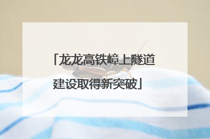 龙龙高铁嶂上隧道建设取得新突破