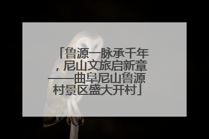 鲁源一脉承千年，尼山文旅启新章——曲阜尼山鲁源村景区盛大开村