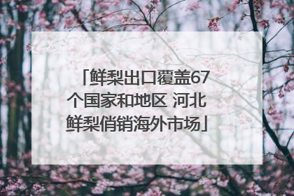 鲜梨出口覆盖67个国家和地区 河北鲜梨俏销海外市场