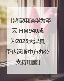 鸿蒙电脑华为擎云 HM940成为2025天津夏季达沃斯中方办公支持电脑