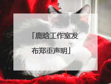 鹿晗工作室发布郑重声明