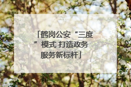 鹤岗公安“三度”模式 打造政务服务新标杆