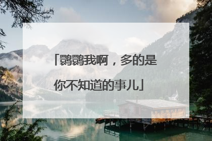 鹮鹮我啊，多的是你不知道的事儿