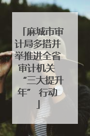 麻城市审计局多措并举推进全省审计机关 “三大提升年” 行动