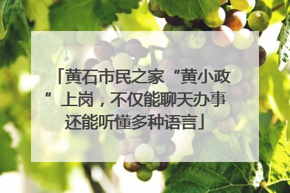 黄石市民之家“黄小政”上岗，不仅能聊天办事还能听懂多种语言