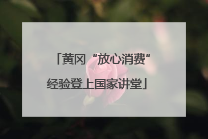 黄冈“放心消费”经验登上国家讲堂