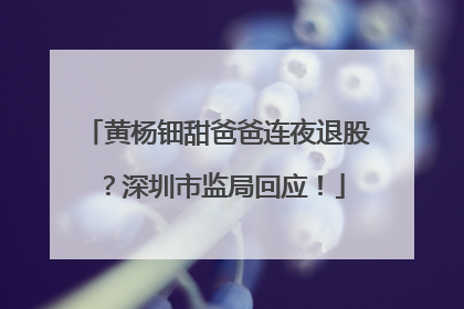 黄杨钿甜爸爸连夜退股？深圳市监局回应！