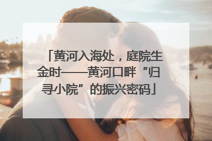 黄河入海处，庭院生金时——黄河口畔“归寻小院”的振兴密码