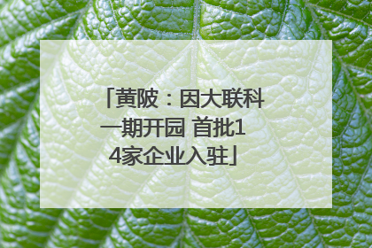 黄陂：因大联科一期开园 首批14家企业入驻